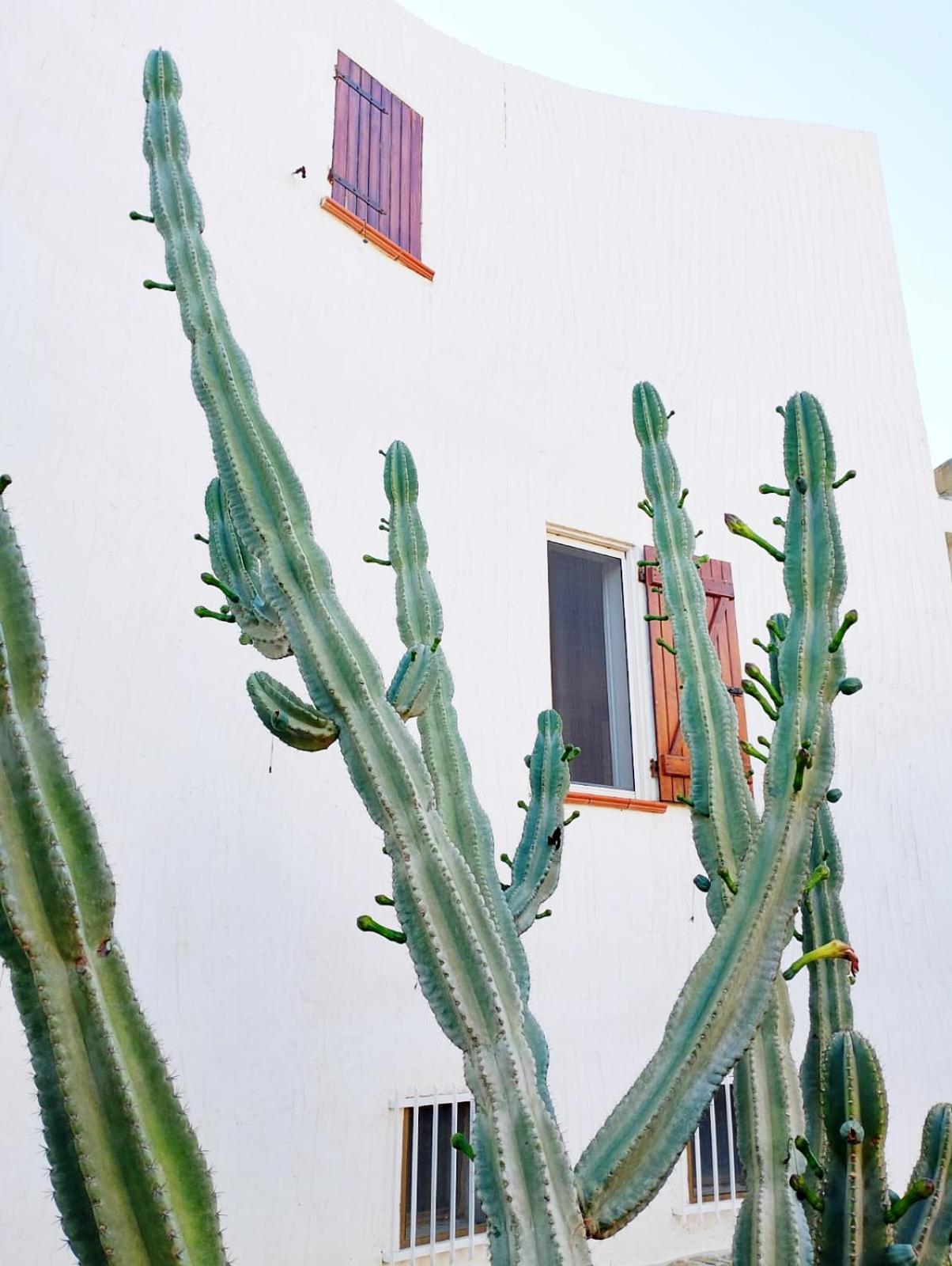 Villa Anna 300 M Dal Mare Torre delle Stelle Bagian luar foto
