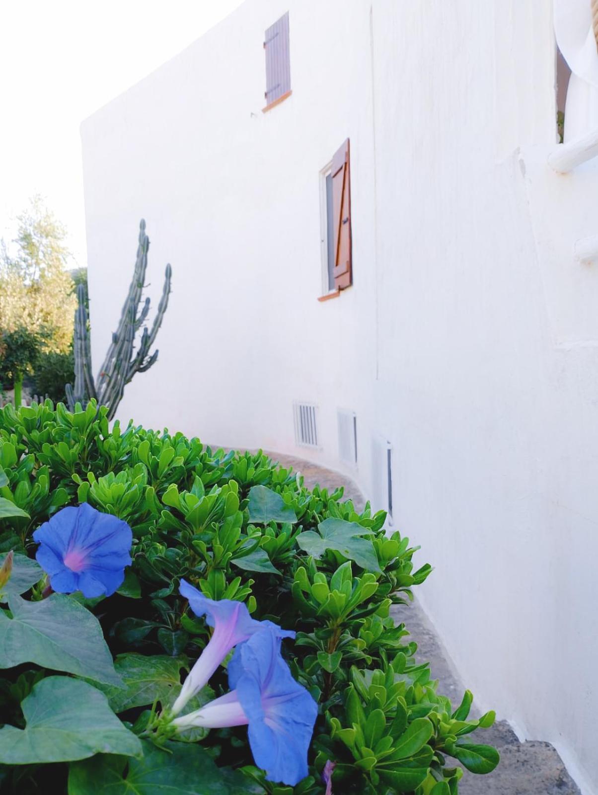Villa Anna 300 M Dal Mare Torre delle Stelle Bagian luar foto